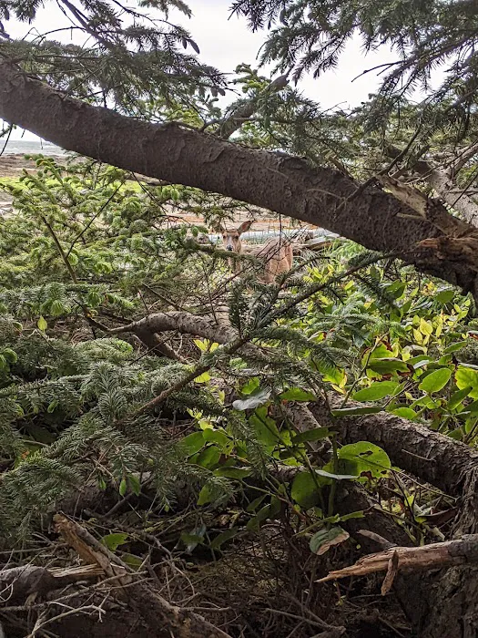 Sand Point Picture 7