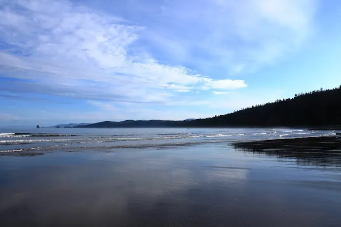North Ozette River Picture 4