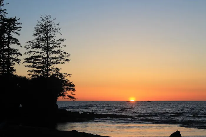 North Ozette River Picture 5