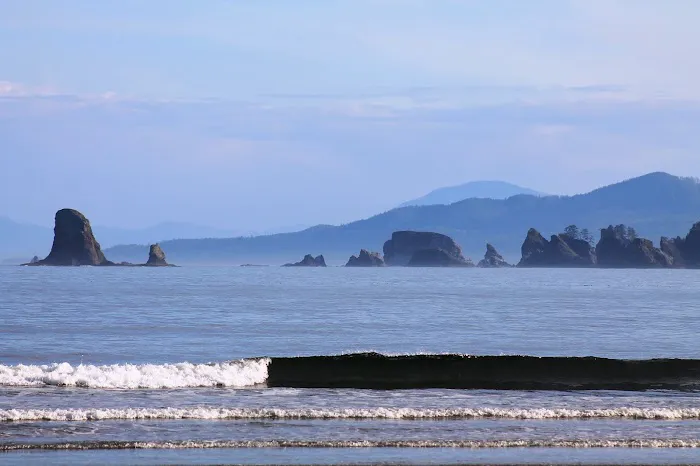 North Ozette River Picture 7