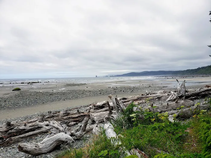 North Ozette River Picture 8