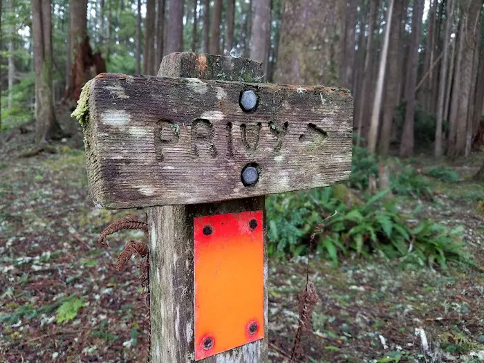South Ozette River Picture 2
