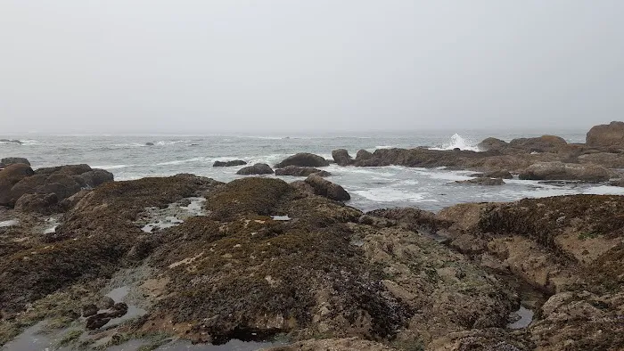 South Ozette River Picture 6