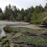 South Ozette River