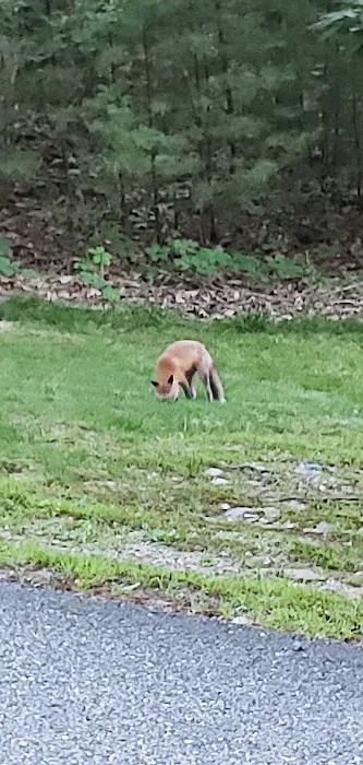 Ogunquit Farm RV Resort Picture 4