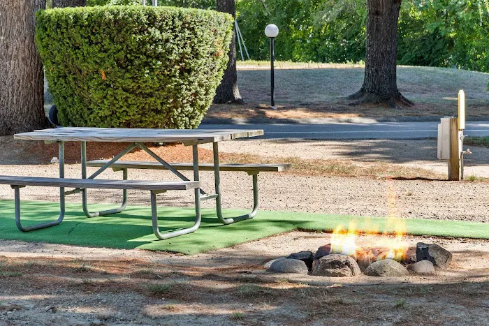 Harvest Haven Campground Picture 2