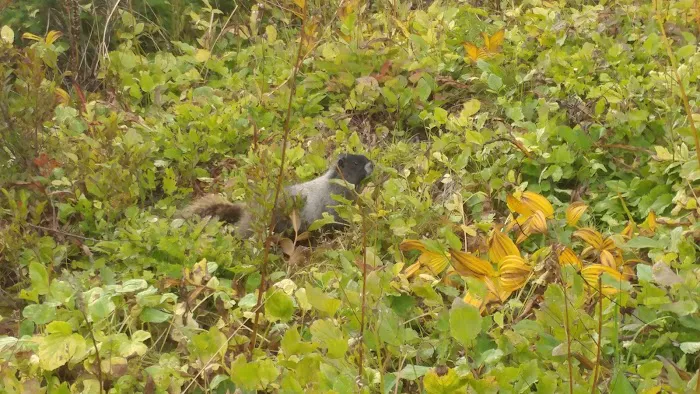 Boundary Campground Picture 4