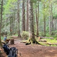 U.S. Cabin Campground ico