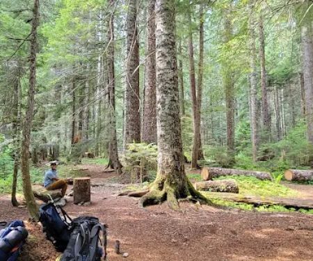 U.S. Cabin Campground