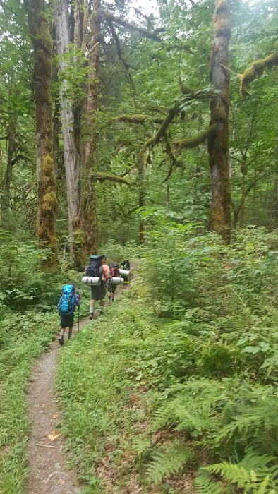 Sulphide Creek Campground Picture 6