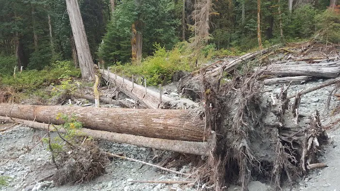 Sulphide Creek Campground Picture 2