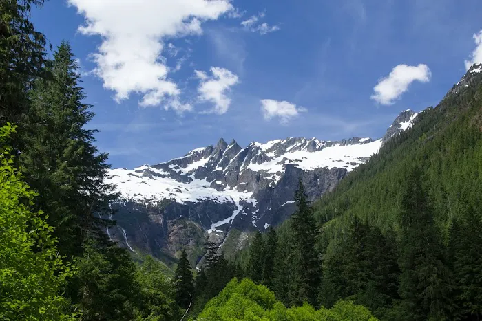Sulphide Creek Campground Picture 4