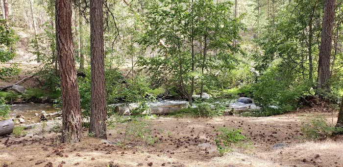 Beaver Campground Picture 4