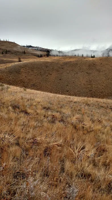 Beaver Campground Picture 3