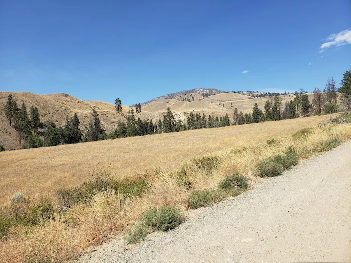 Beaver Campground Picture 9