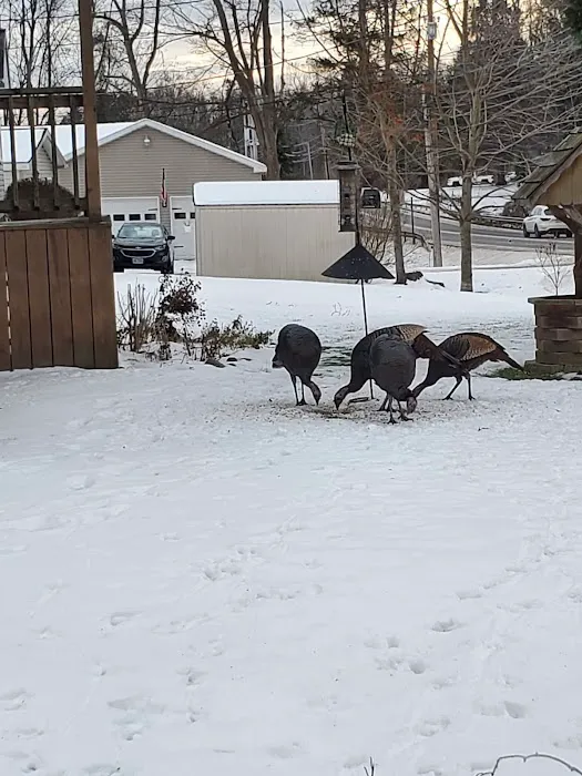 Silver Rock Mobile Home Park Picture 1