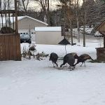 Silver Rock Mobile Home Park