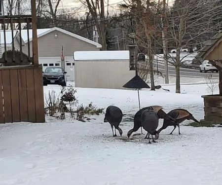 Silver Rock Mobile Home Park