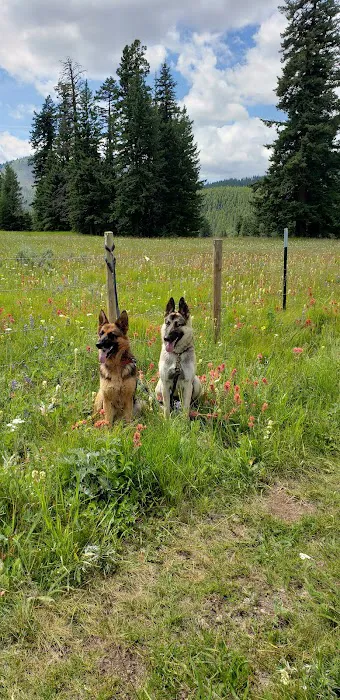 Salmon Meadows Campground Picture 1