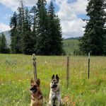 Salmon Meadows Campground