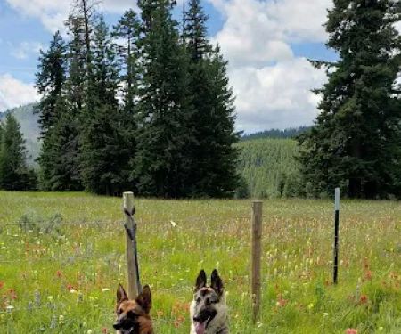 Salmon Meadows Campground