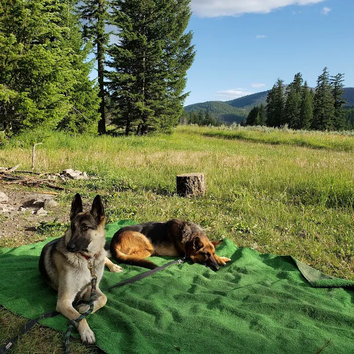Salmon Meadows Campground Picture 10