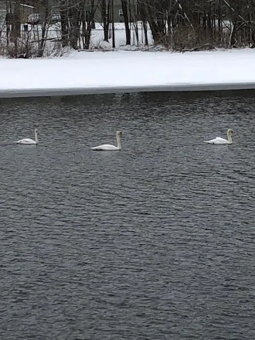 Riverview mobile court llc Picture 8