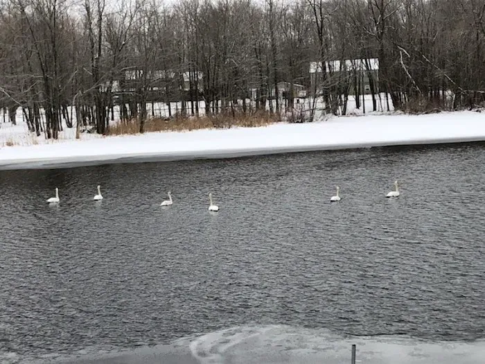 Riverview mobile court llc Picture 6