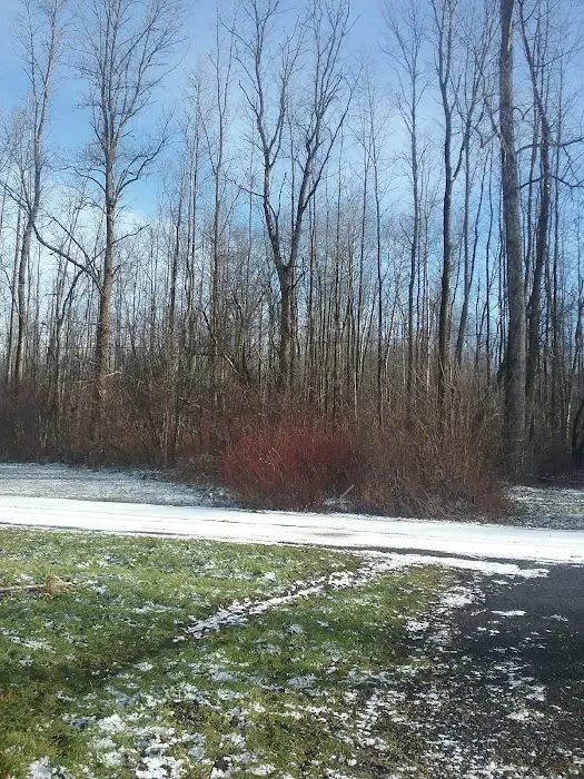 Riverview mobile court llc Picture 2