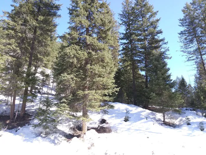 Kerr Campground Picture 2