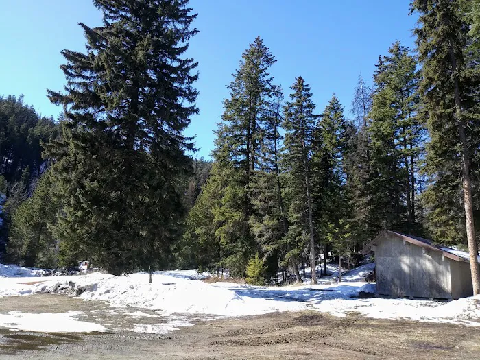 Kerr Campground Picture 3