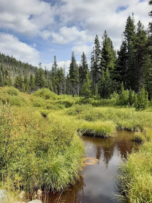 Long Swamp Campground Picture 2