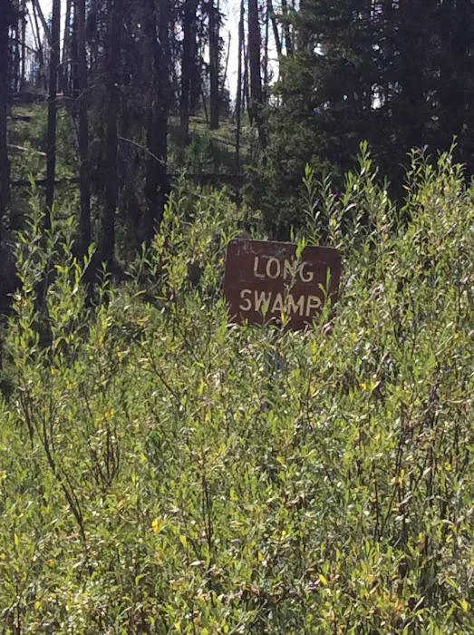 Long Swamp Campground Picture 6