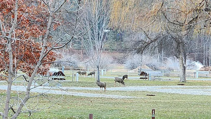 Oriole Campground Picture 1