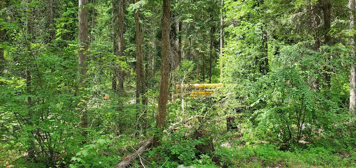 Oriole Campground Picture 3