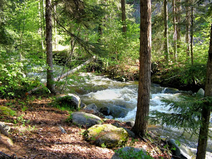 Oriole Campground Picture 10