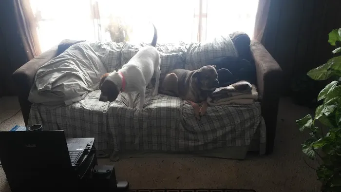 S & E Mobile Home Park Picture 1