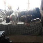 S & E Mobile Home Park