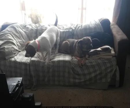 S & E Mobile Home Park