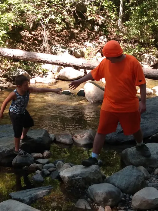 Cottonwood Campground Picture 1