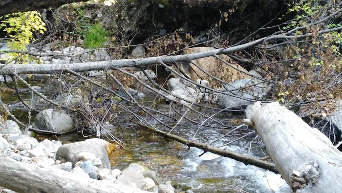 Cottonwood Campground Picture 2