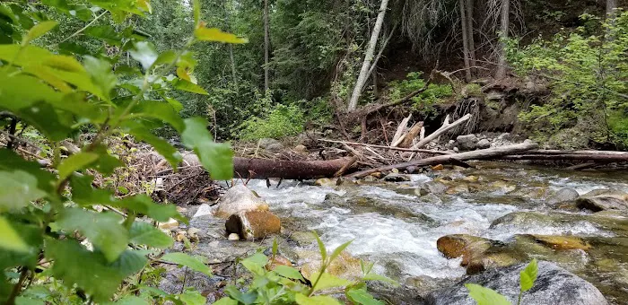 Cottonwood Campground Picture 9