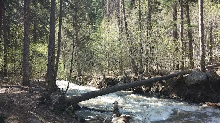 Cottonwood Campground Picture 8