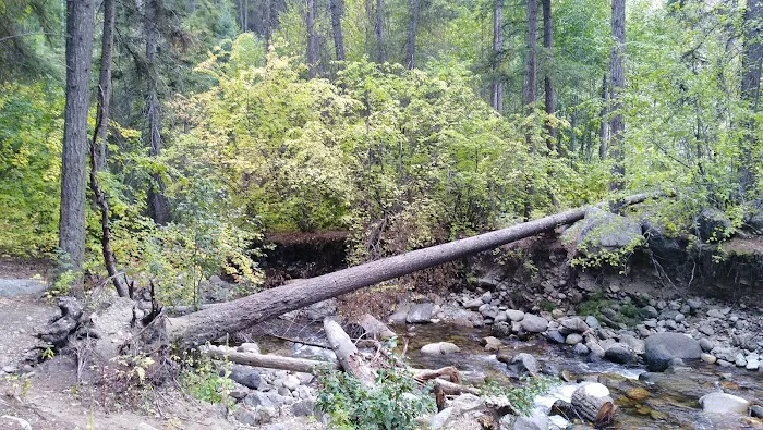 Cottonwood Campground Picture 4