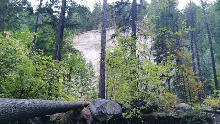 Cottonwood Campground Picture 5