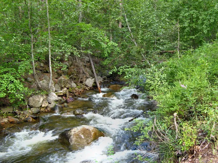 Cottonwood Campground Picture 10