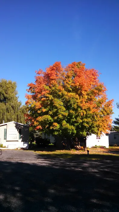 Pleasant Meadow Park Picture 4