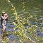 Chopaka Lake Campground