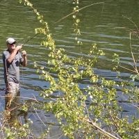 Chopaka Lake Campground ico