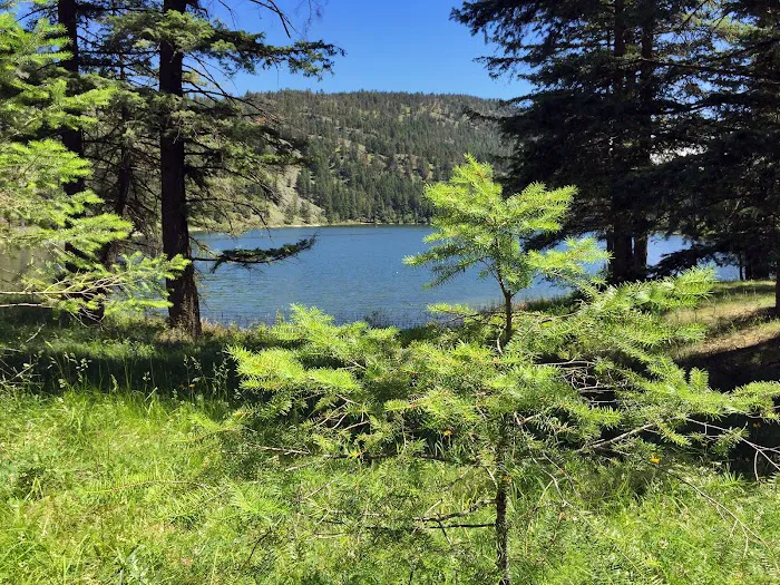 Beaver Pass Campground Picture 3